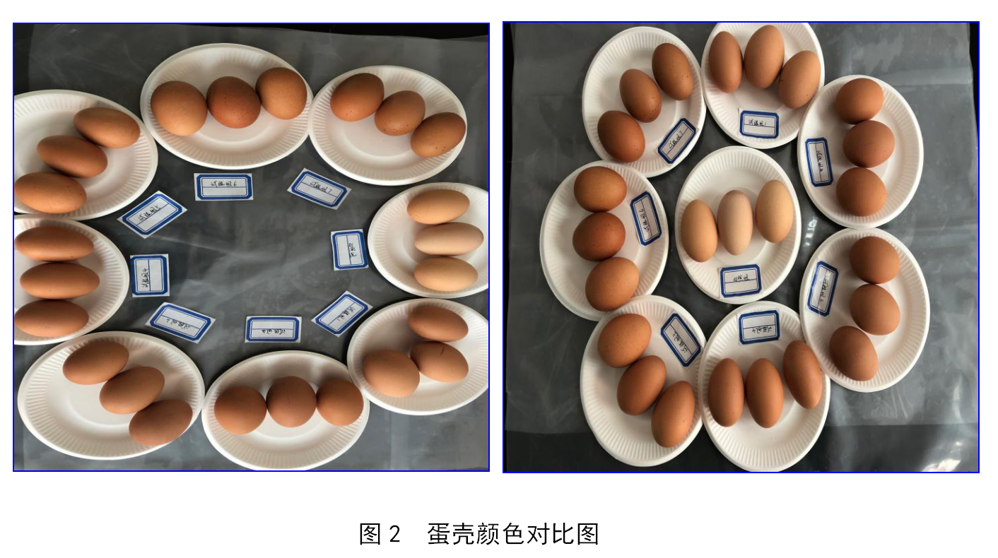 尊龙凯时官网--首页登录入口