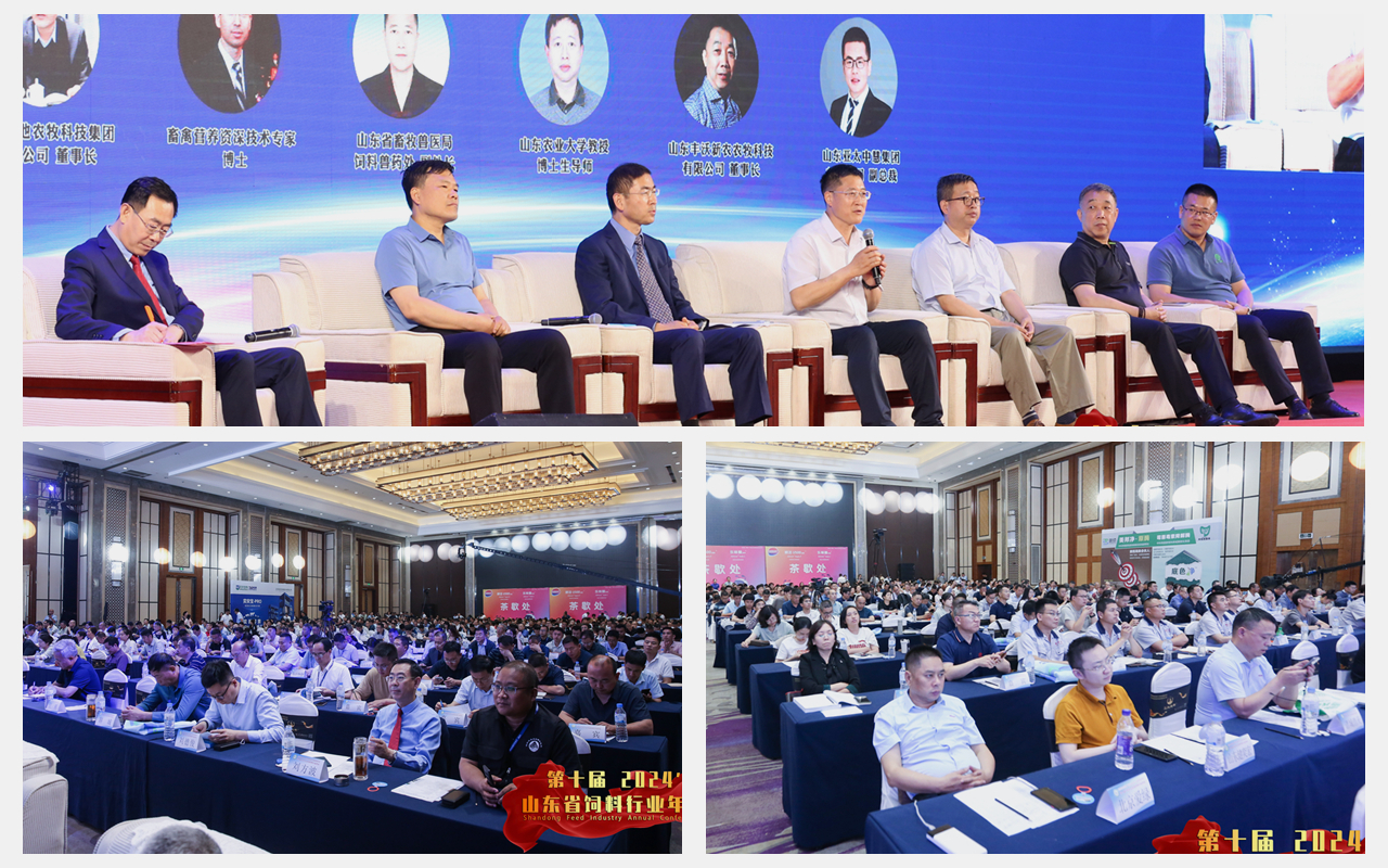 尊龙凯时官网--首页登录入口